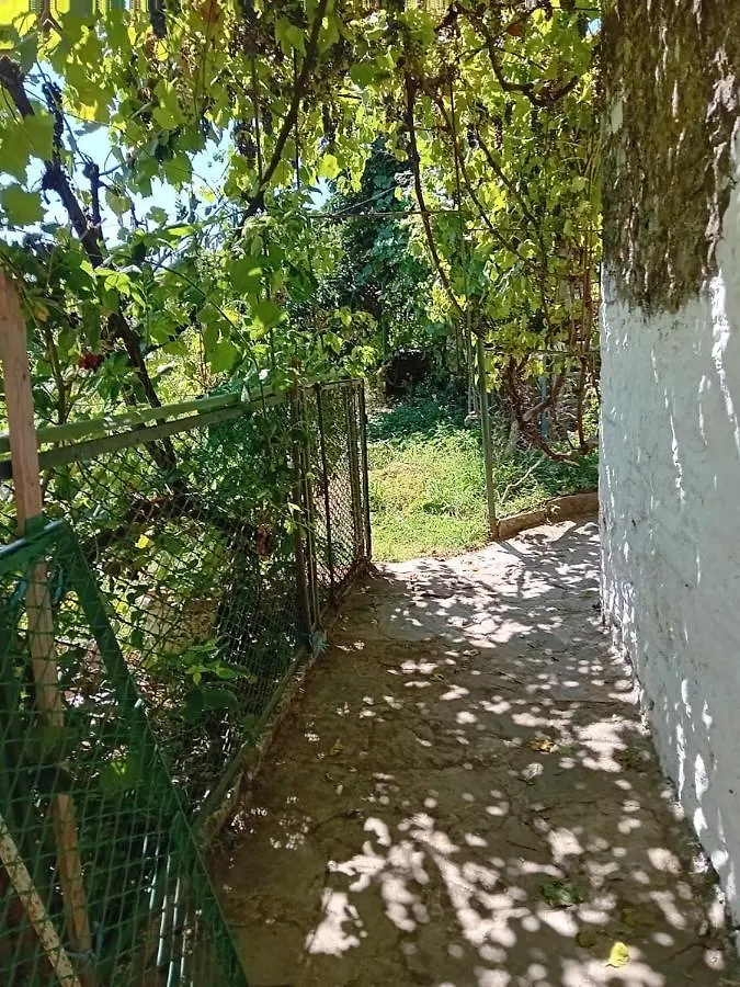 Stone Pazar Guest House Gjirokastër